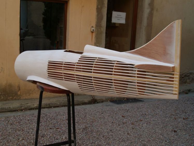 Le projet d'une escadrille de Gee-Bee Model Y.