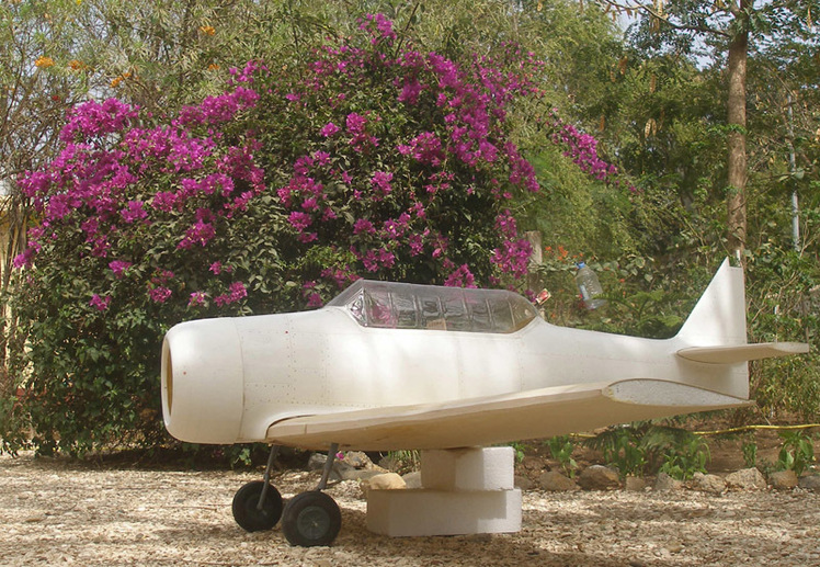 Le T-6 de Franck