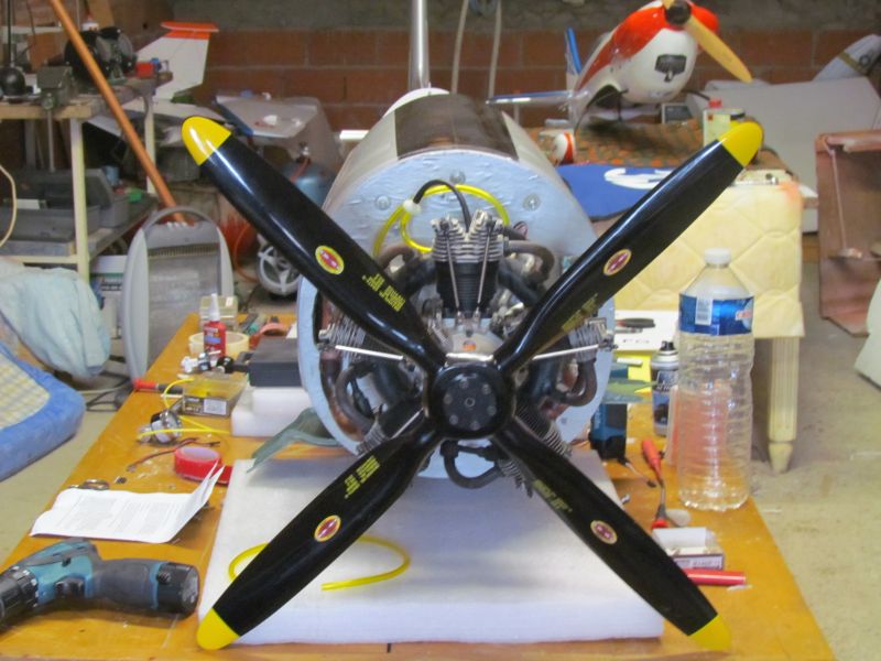 Bearcat F-8F Michel MARTIN