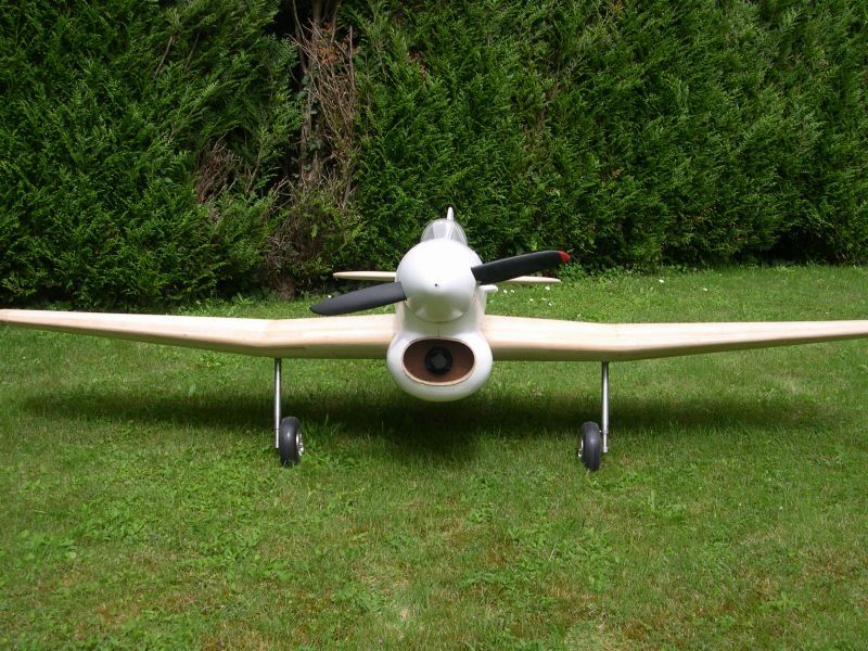 Typhoon 142