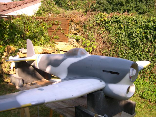 Typhoon 336