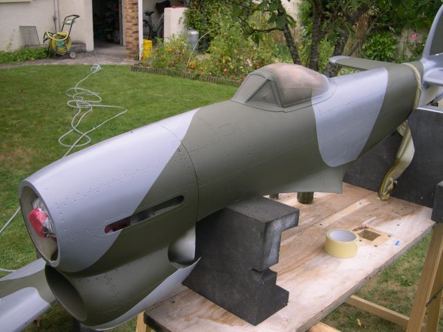 Typhoon 351