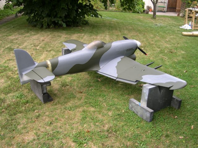 Typhoon 361