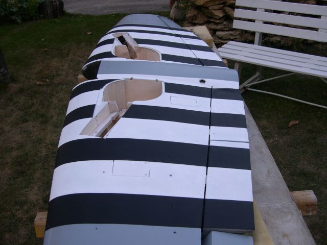 Typhoon 371