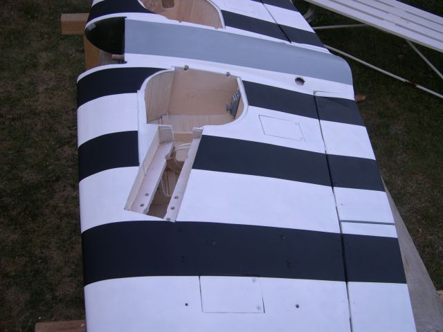 Typhoon 375