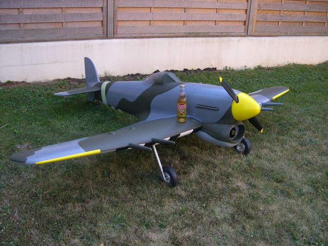 Typhoon 386