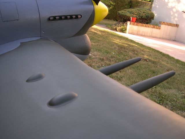 Typhoon 390
