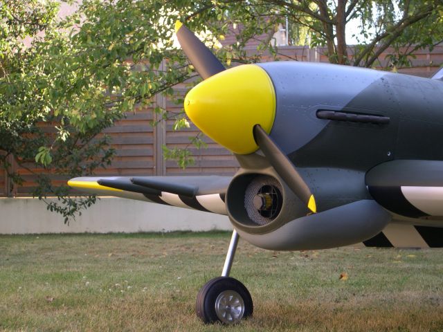 Typhoon 403