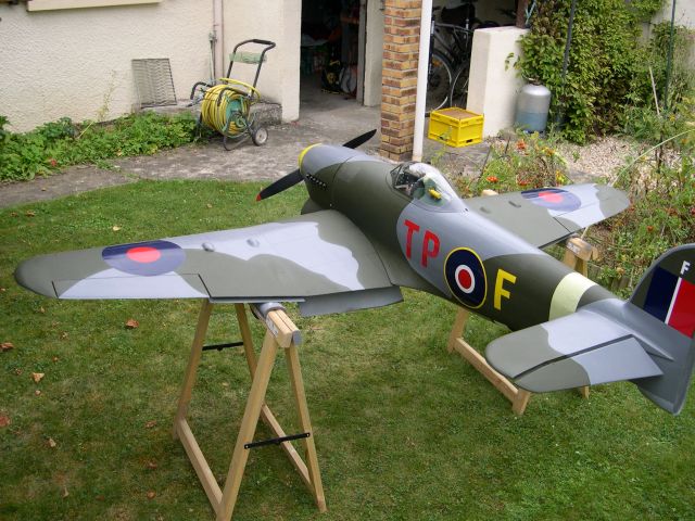 Typhoon 430