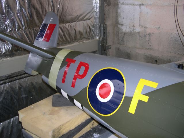 Typhoon 431