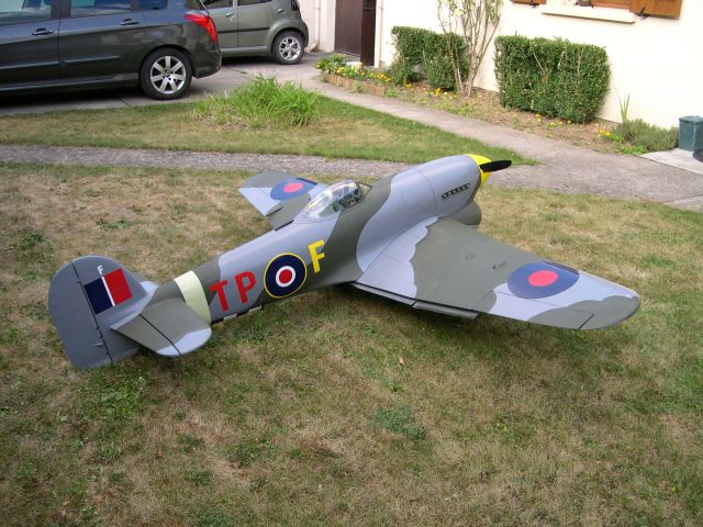 Typhoon 437