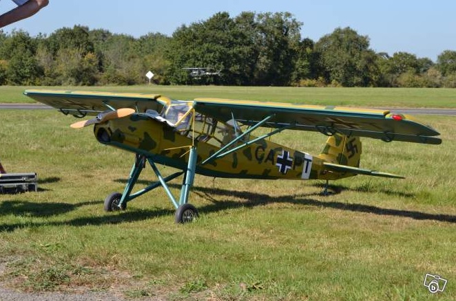 Fiesler storch 2