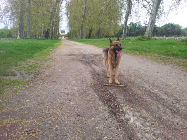 Mon Tom 8
