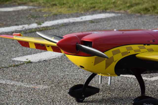 Extra 330 SC Ludovic MARTIN 5