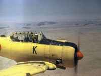 T6-1