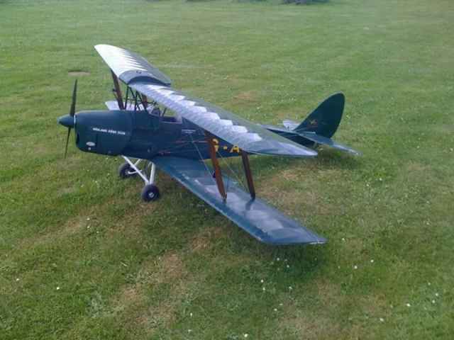 Tiger Moth 1