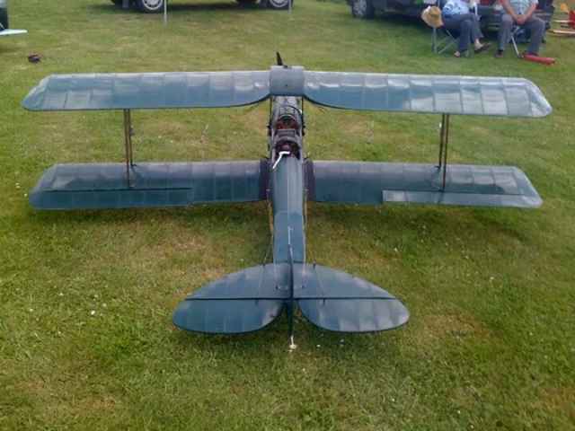 Tiger Moth 3