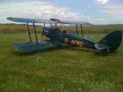 Tiger  Moth