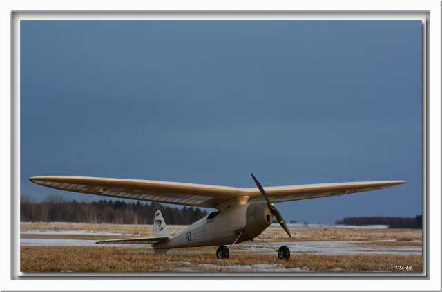 Herky Jean TARDIF 1