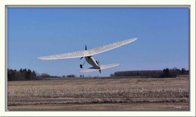 Herky Jean TARDIF 1