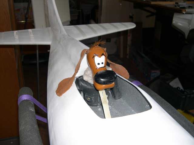 geebee-model-y-gw-composites-50